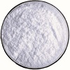 Esmolol Hydrochloride Manufacturers